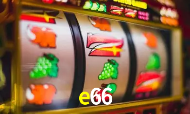 Interface Premium e66